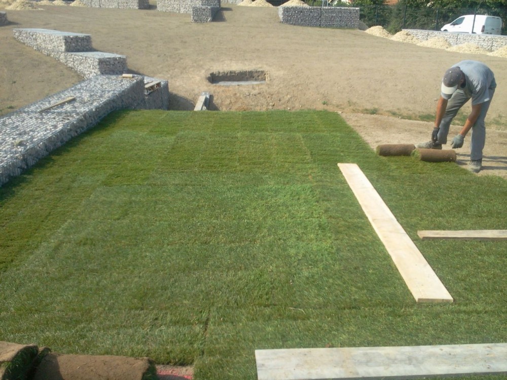 Atlantic Sud Paysage gazon de plaçage à Basse Goulaine