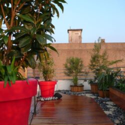 Atlantic Sud Paysage terrasse en bois exotique à Nantes