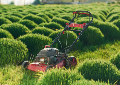 Entretien de jardin Atlantic Sud Paysage à Saint-Herblain