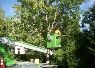 Entretien de jardin Atlantic Sud Paysage au Pellerin