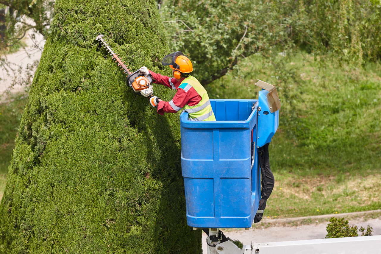 Entretien de jardins et espaces verts Atlantic Sud Paysage