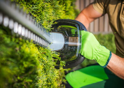 Entretien de jardins et espaces verts Atlantic Sud Paysage