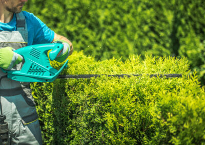 Entretien de jardins et espaces verts Atlantic Sud Paysage