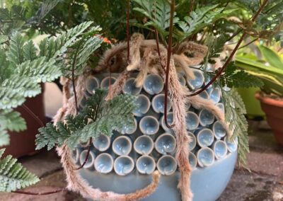 Jardinerie fine - magasin de plantes à Pornic