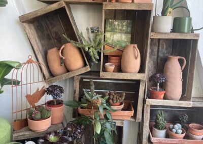 Jardinerie fine - magasin de plantes à Pornic