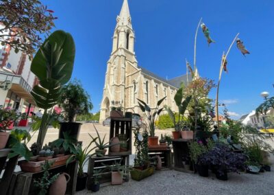 Jardinerie fine - magasin de plantes à Pornic