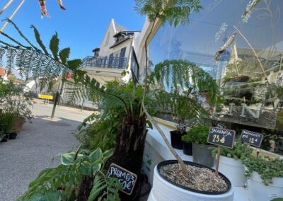 Jardinerie fine - magasin de plantes à Pornic