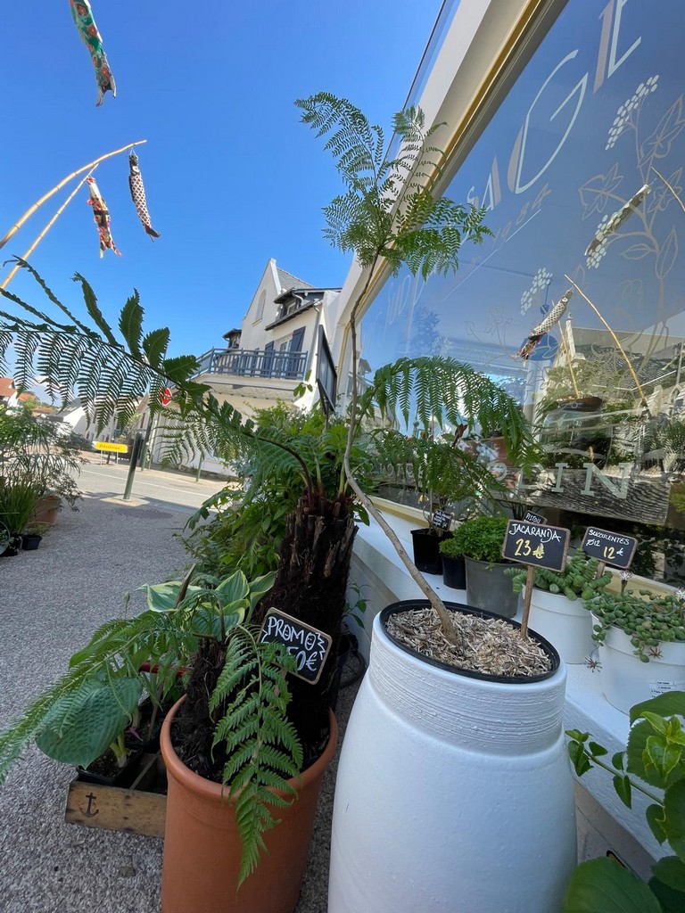 Jardinerie fine - magasin de plantes à Pornic