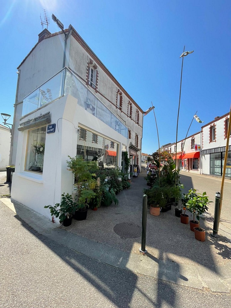 Jardinerie fine - magasin de plantes à Pornic