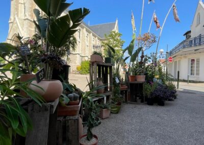 Jardinerie fine - magasin de plantes à Pornic