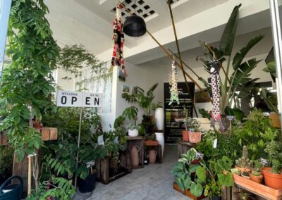 Jardinerie fine - magasin de plantes à Pornic