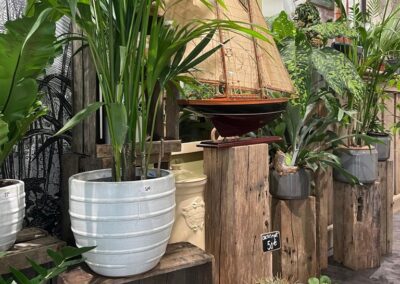 Jardinerie fine - magasin de plantes à Pornic