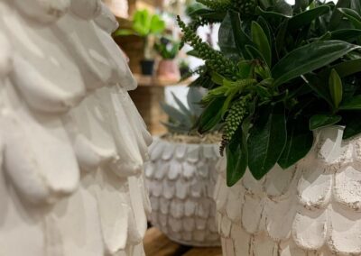 Jardinerie fine - magasin de plantes à Pornic