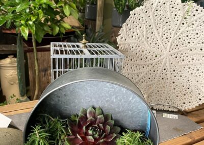 Jardinerie fine - magasin de plantes à Pornic