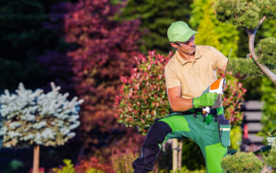Les avantages fiscaux travaux paysagers pour votre jardin